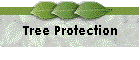 Tree Protection