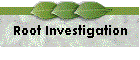 Root Investigation