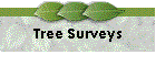 Tree Surveys