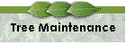 Tree Maintenance